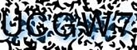 grafischer Sicherheitscode