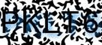 grafischer Sicherheitscode