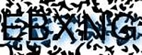 grafischer Sicherheitscode